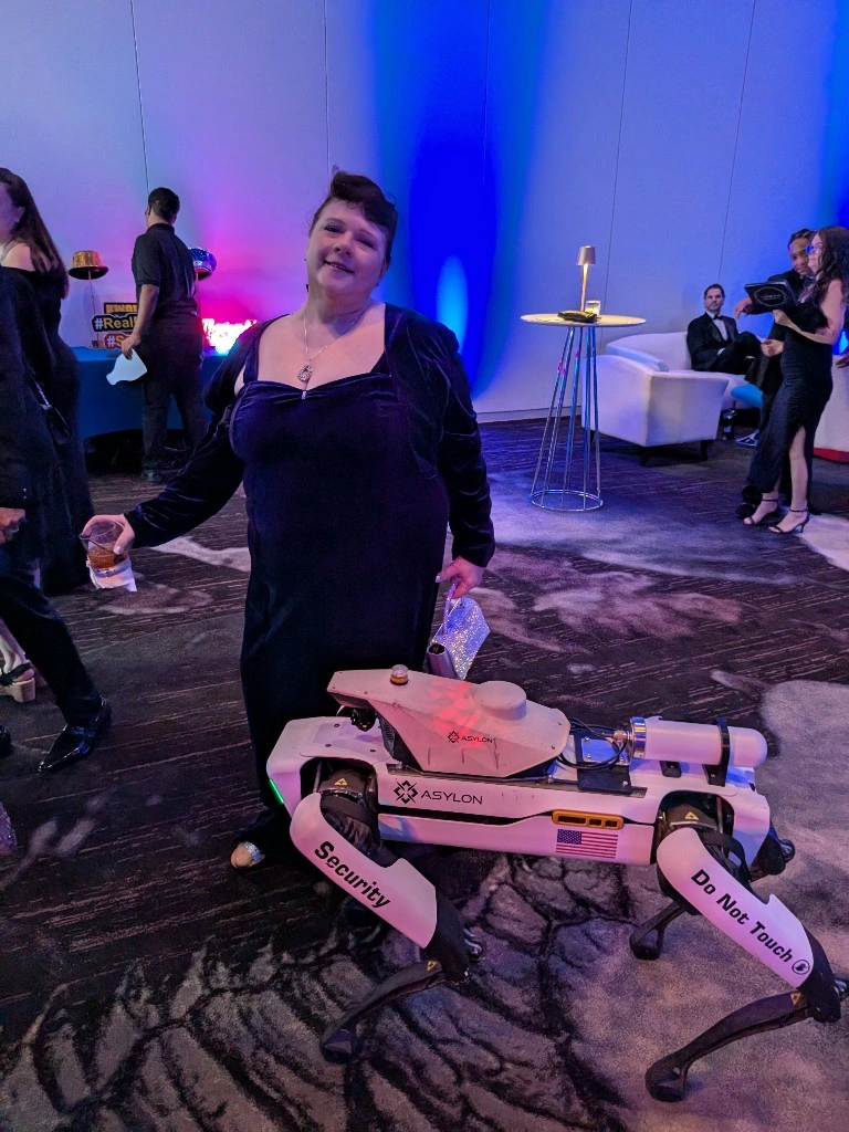 TechBridge Digital Ball